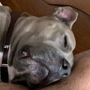 Meet your Posher, Sergio